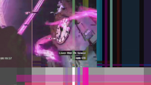 patience is a virtue